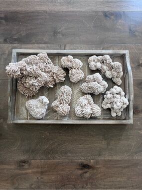 Desert Rose Selenite